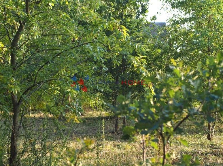 Działka budowlana Czarny Las. Zdjęcie 2