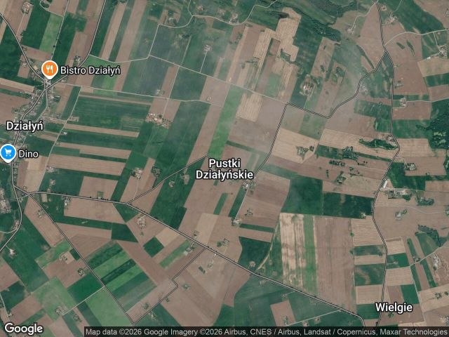 Działka rolna Pustki Działyńskie. Zdjęcie 1