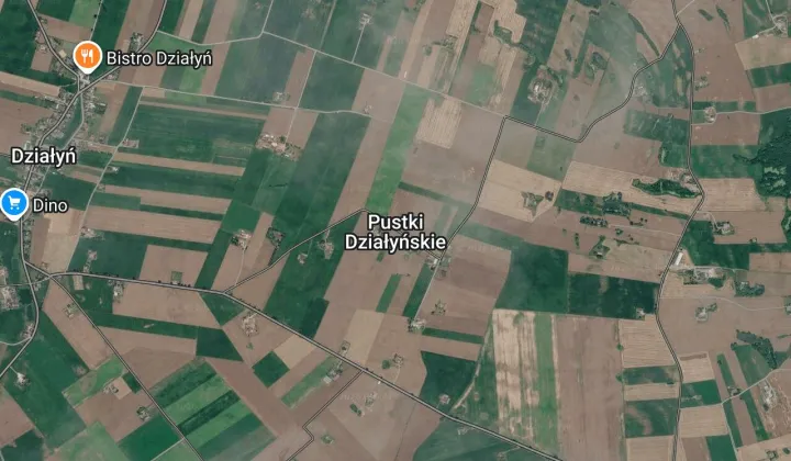 Działka rolna Pustki Działyńskie