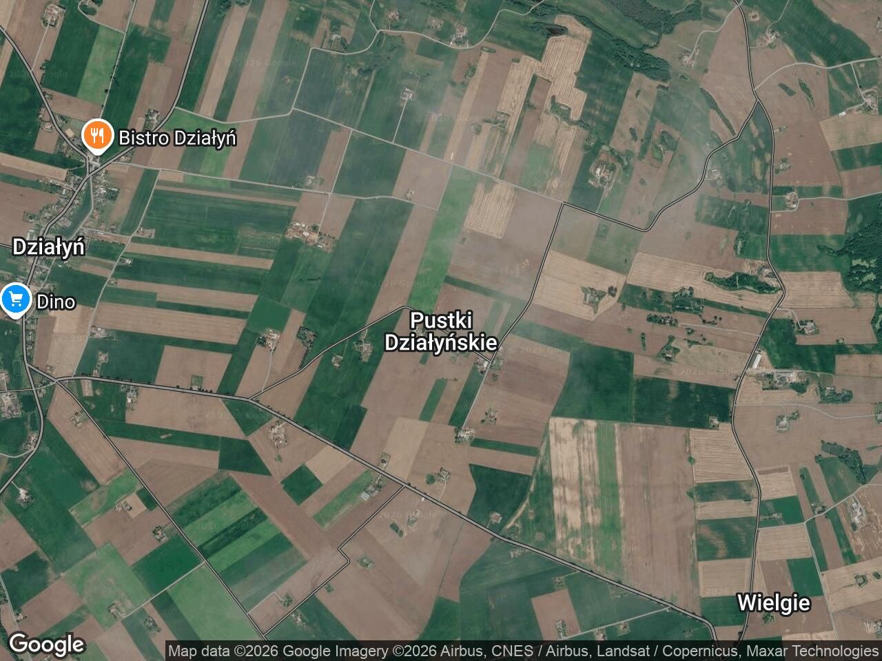 Działka rolna Pustki Działyńskie. Zdjęcie 1