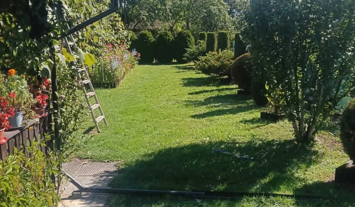 Działka rod Rzeszów