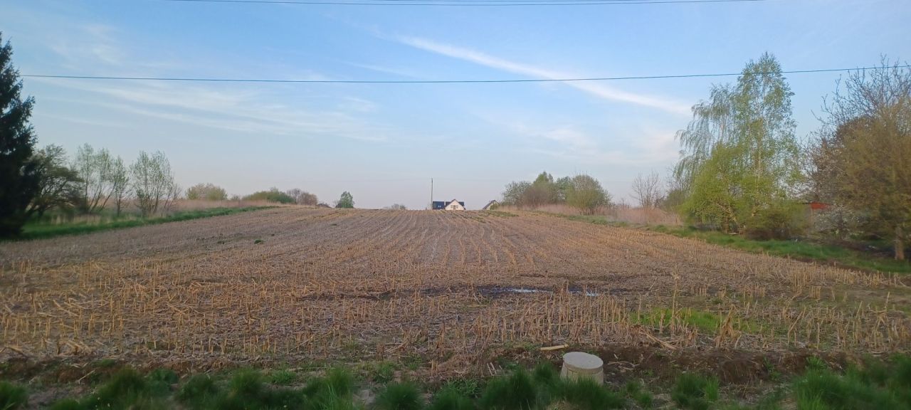 Działka budowlana Dąbrowa. Zdjęcie 2