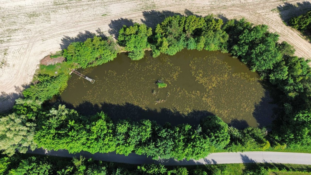 Działka rolno-budowlana Chałupy. Zdjęcie 3