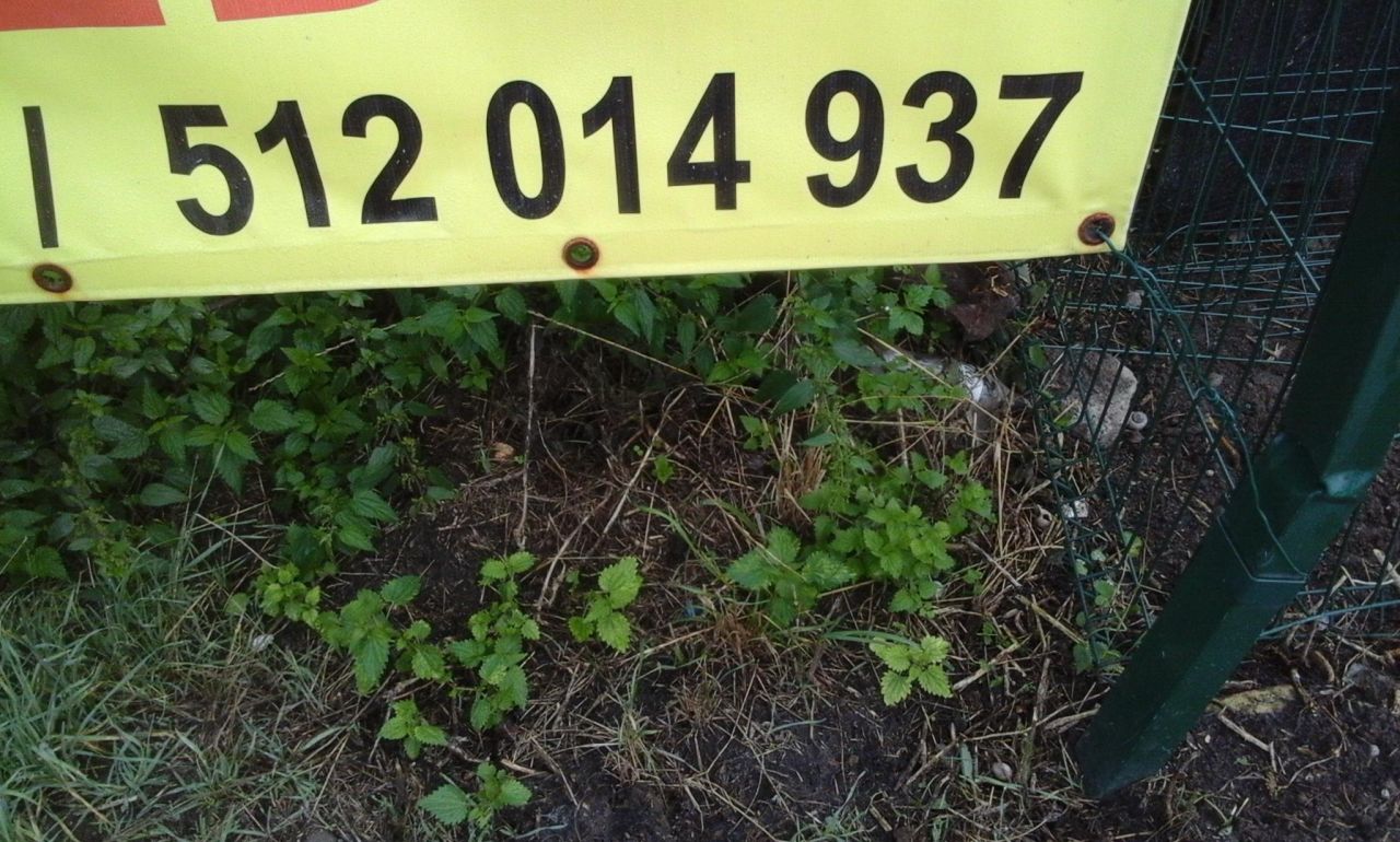 Działka budowlana Dołuje, ul. Jesienny Sad. Zdjęcie 6