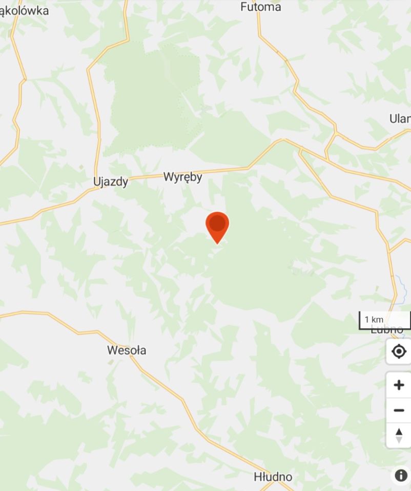 Działka leśna Wyręby. Zdjęcie 3