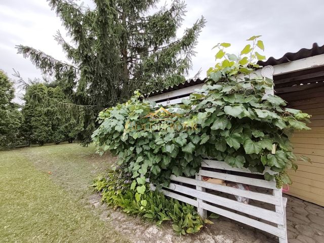 Działka rod Luboń, ul. 3 Maja. Zdjęcie 2