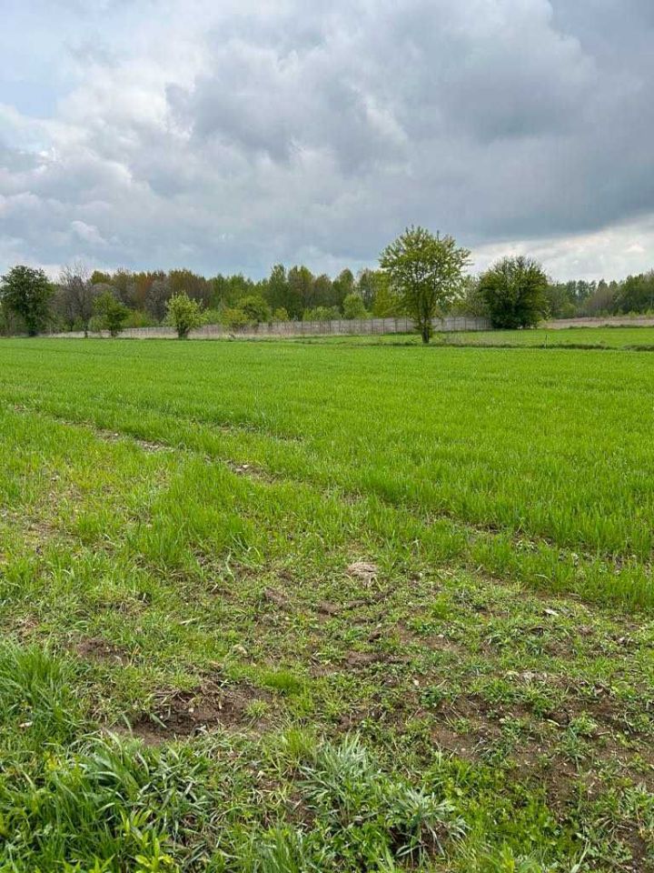 Działka budowlana Łódź Mileszki, ul. Bratkowa. Zdjęcie 7