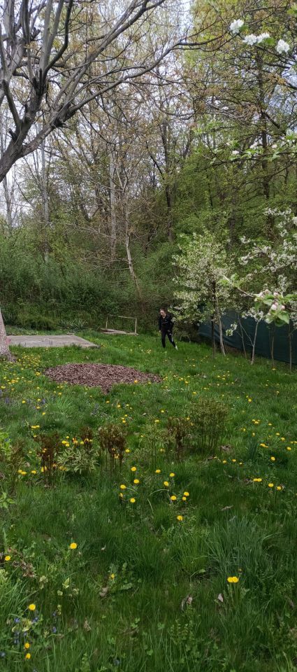 Działka rod Łapczyca. Zdjęcie 9