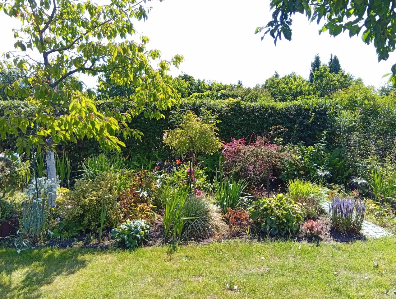 Działka rod Gdynia Babie Doły, ul. Zielona. Zdjęcie 21