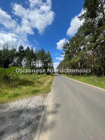 Działka leśna Toporzysko. Zdjęcie 3