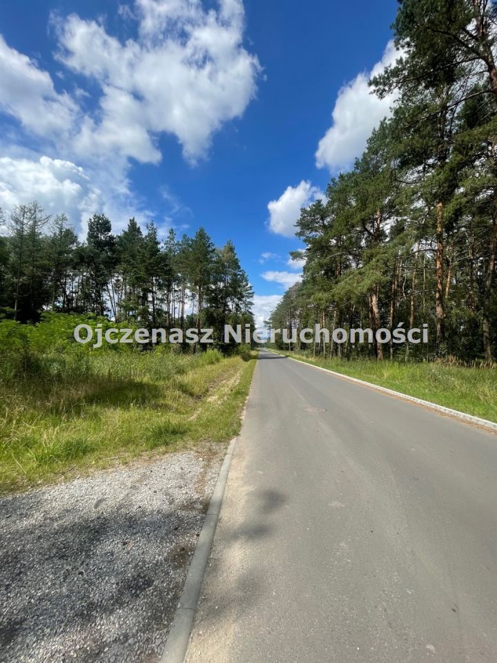 Działka leśna Toporzysko. Zdjęcie 3