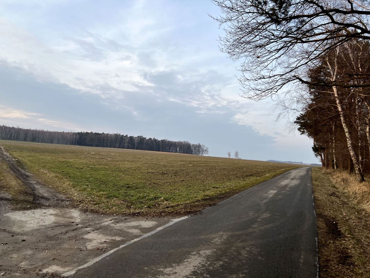 Działka budowlana Wilkowiczki, ul. Osiedlowa. Zdjęcie 7