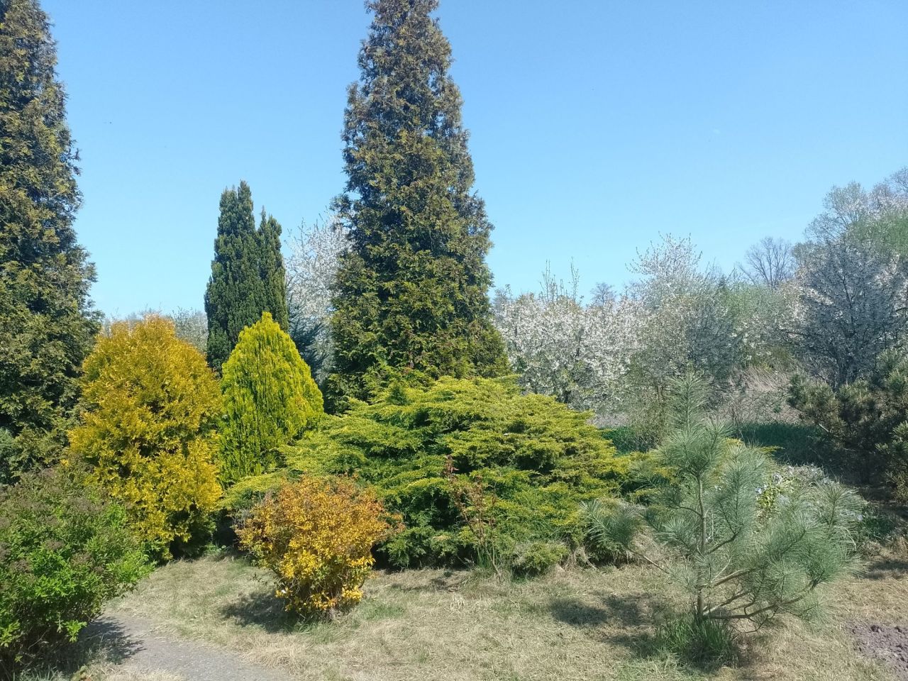 Działka rod Brzeg, ul. Małujowicka. Zdjęcie 6