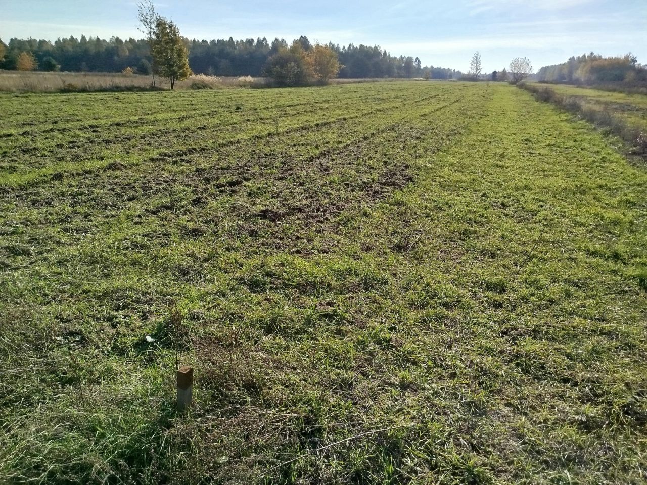 Działka budowlana Działki Suskowolskie. Zdjęcie 2
