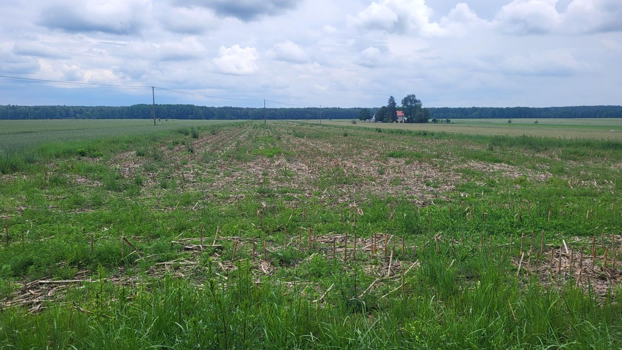 Działka rolna Andryjanki. Zdjęcie 1
