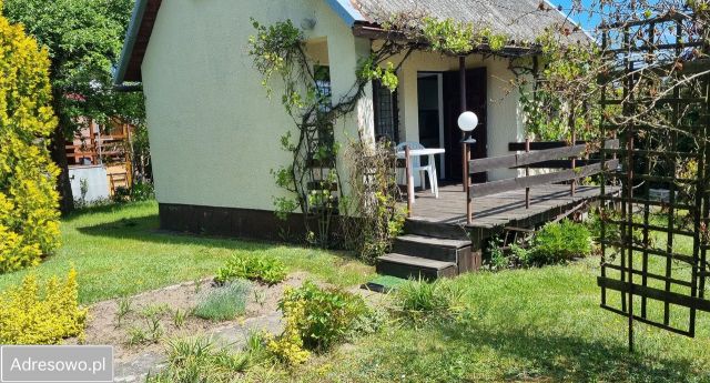 Działka rod Tryszczyn, ul. Rekreacyjna. Zdjęcie 1