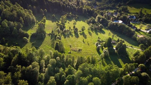 Działka rolno-budowlana Stary Gierałtów. Zdjęcie 5