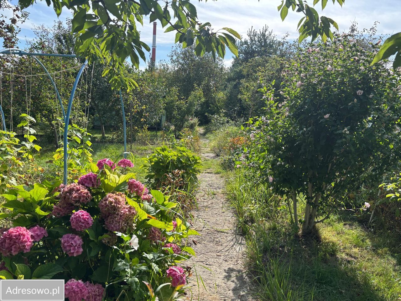 Działka rekreacyjna Sosnowiec Pogoń. Zdjęcie 6