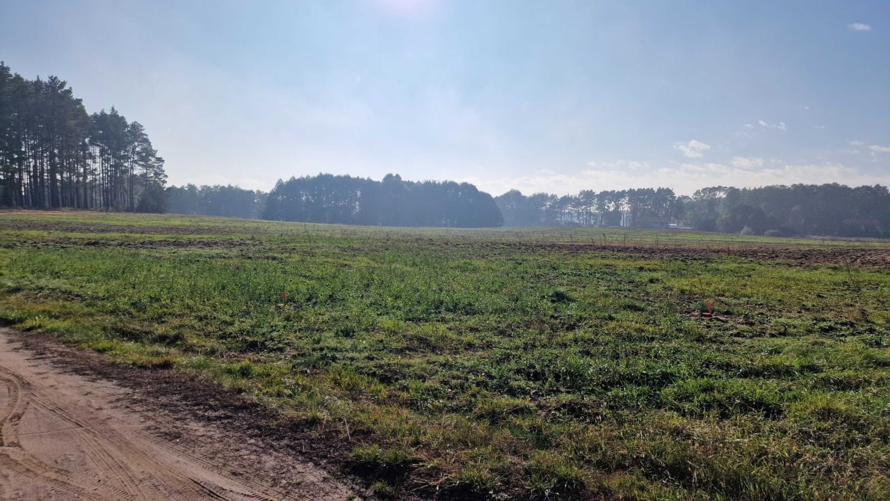 Działka rolno-budowlana Pszczew. Zdjęcie 8