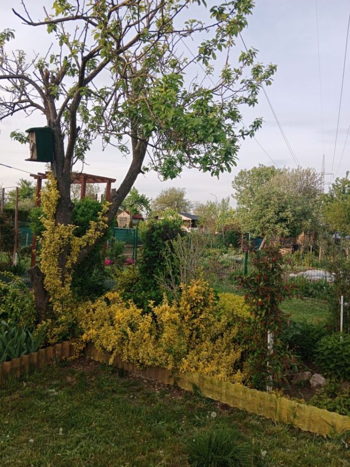 Działka rod Kędzierzyn-Koźle Kuźniczka. Zdjęcie 7