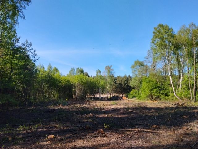 Działka budowlana Jeżewo. Zdjęcie 1