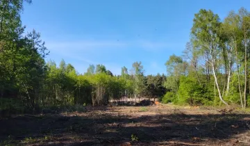 Działka na sprzedaż bez pośredników 
 
 Słupno - Widok 5