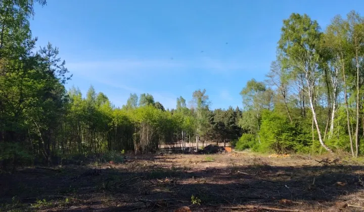 Działka budowlana Jeżewo
