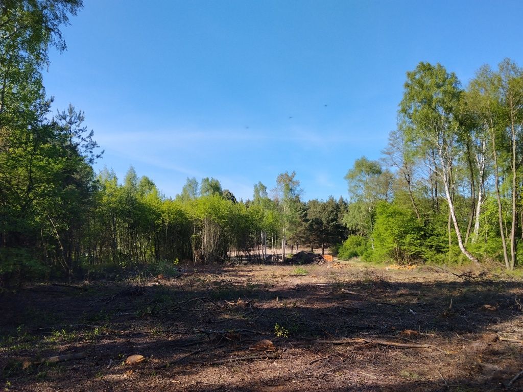 Działka budowlana Jeżewo. Zdjęcie 1