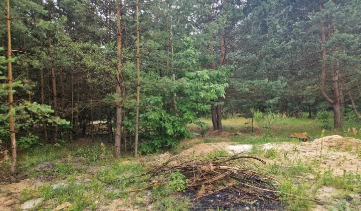 Działka budowlana Ostrowiec Świętokrzyski Piaski, ul. Spokojna