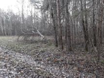 Działka inna Stare Załucze. Zdjęcie 3