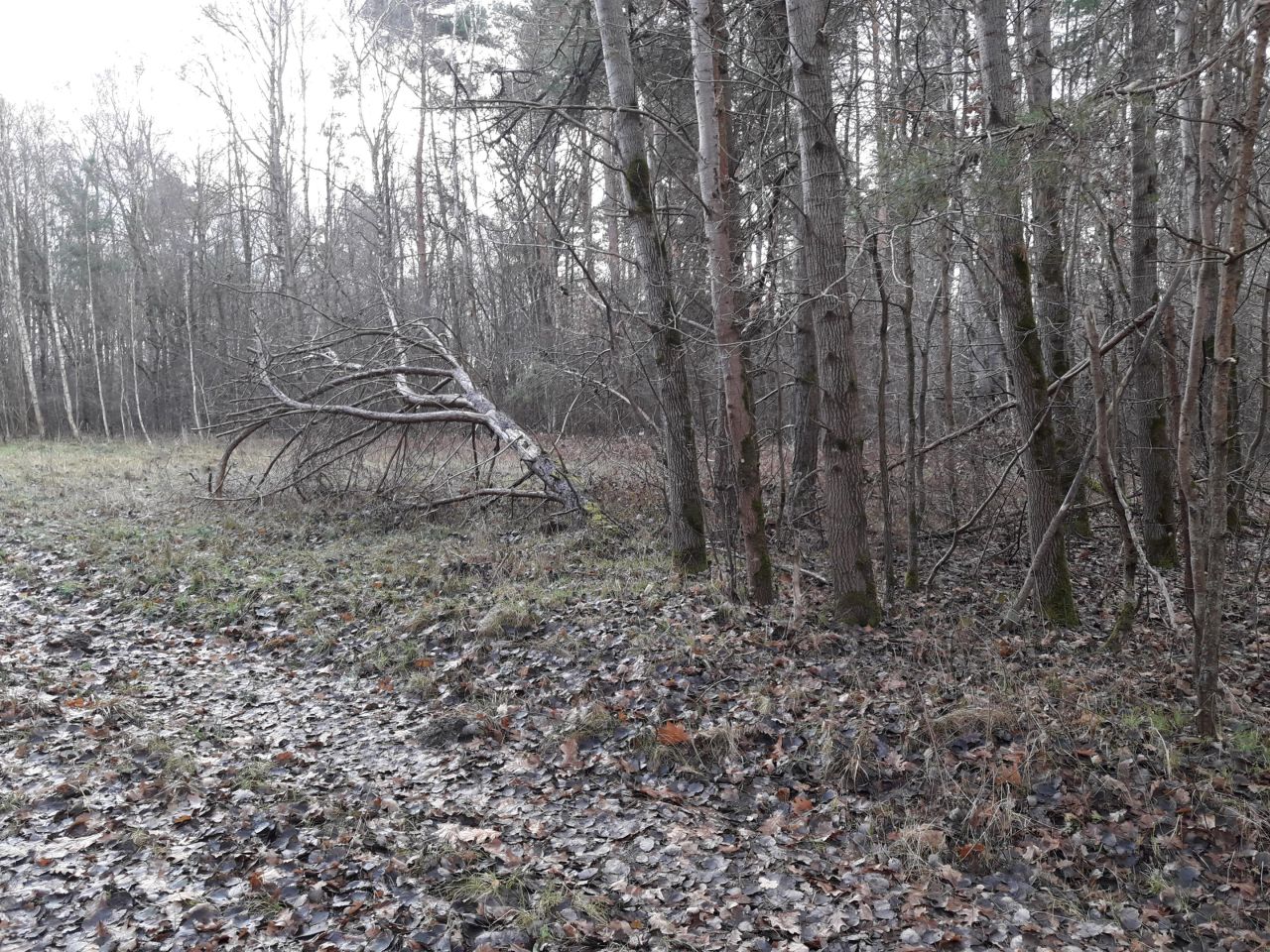 Działka inna Stare Załucze. Zdjęcie 4