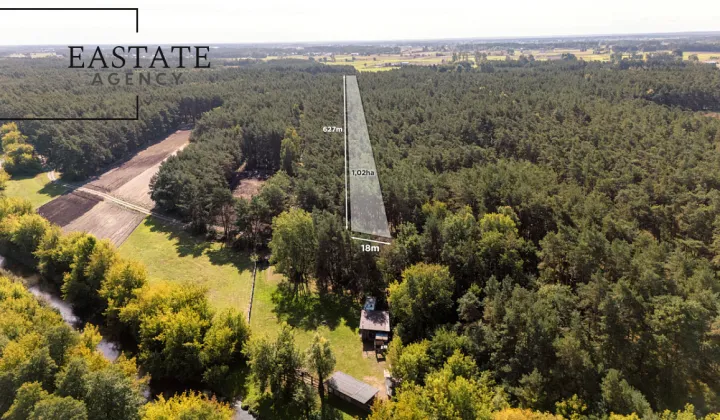 Działka leśna Maurzyce