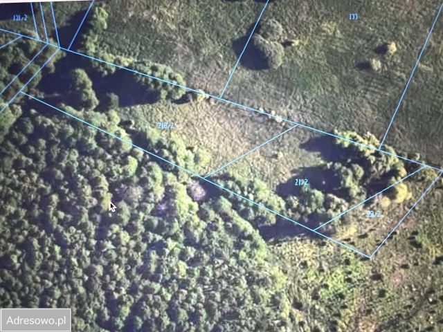 Działka Lipsko-Polesie. Zdjęcie 1