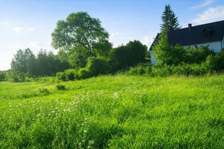 Działka rolna Kozłowo. Zdjęcie 2