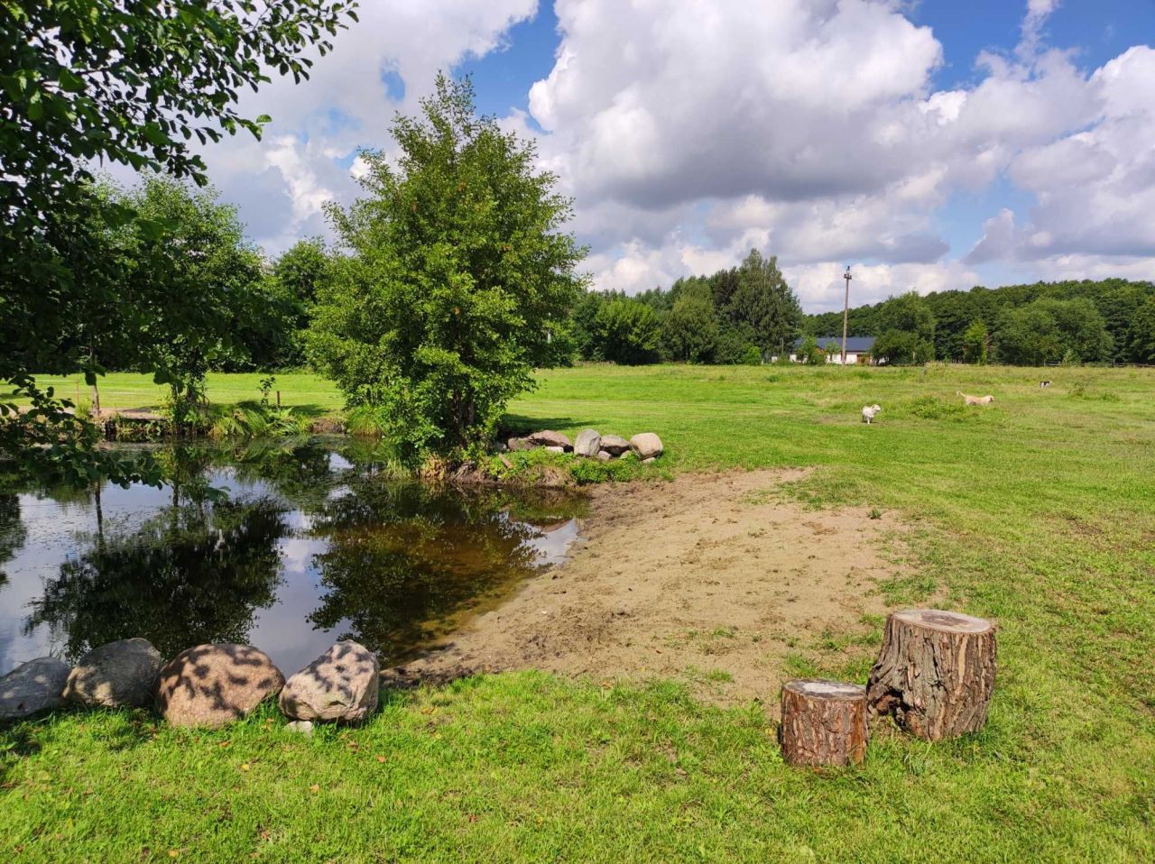 Działka budowlana Grudziądz Rudnik, ul. Wojciecha Kossaka. Zdjęcie 8