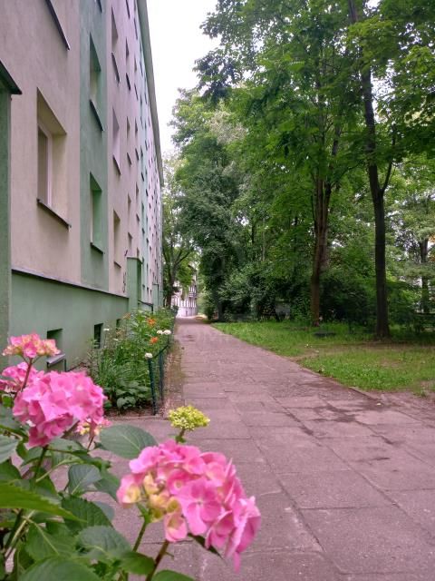 Mieszkanie 1-pokojowe Wrocław Fabryczna, ul. Słubicka. Zdjęcie 9