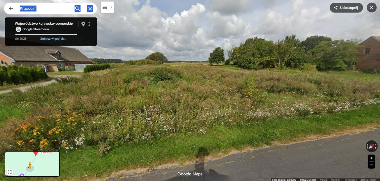 Działka rolno-budowlana Krupocin. Zdjęcie 3