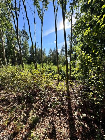 Działka rekreacyjna Szczęsne, ul. Bukietowa. Zdjęcie 1