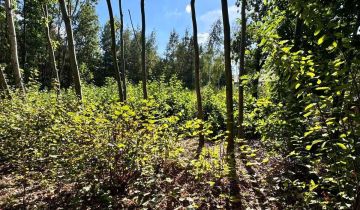 Działka rekreacyjna Szczęsne, ul. Bukietowa