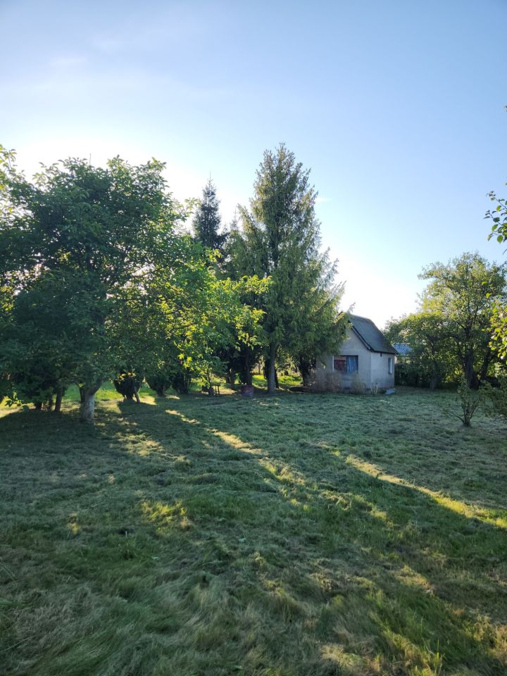 Działka rod Działdowo, ul. Romana Dmowskiego. Zdjęcie 6