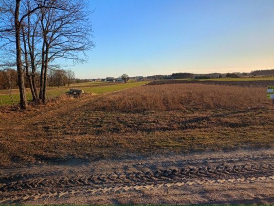 Działka budowlana Budy Trzcińskie. Zdjęcie 1