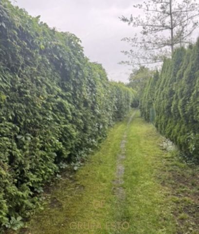 Działka rekreacyjna Kraków Dąbie, ul. Praska. Zdjęcie 4