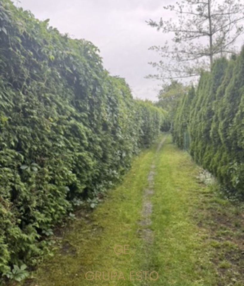 Działka rekreacyjna Kraków Dąbie, ul. Praska. Zdjęcie 4