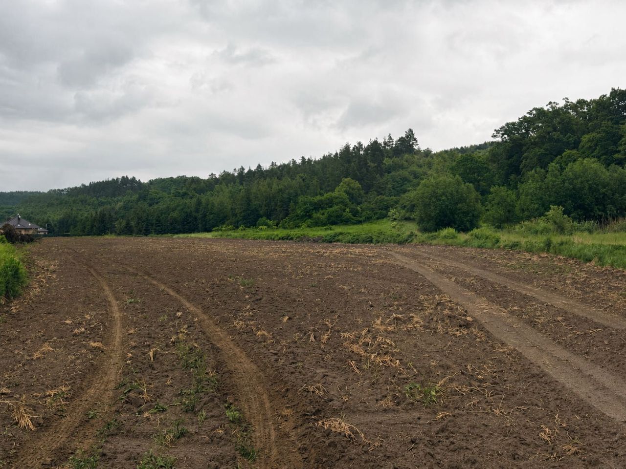 Działka budowlana Podzamcze. Zdjęcie 1