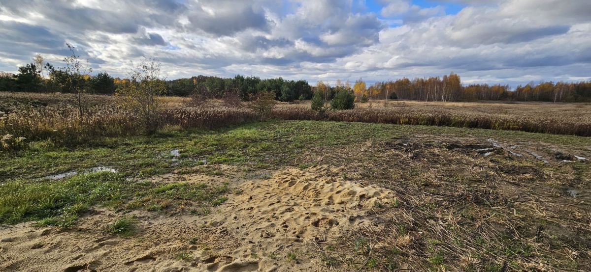 dom wolnostojący, 4 pokoje Mrozów. Zdjęcie 12
