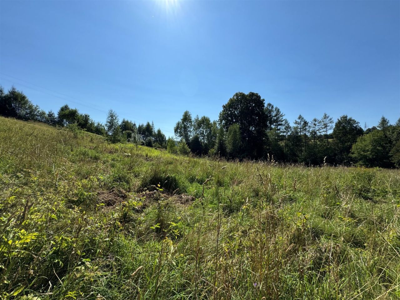 Działka budowlana Złockie. Zdjęcie 3