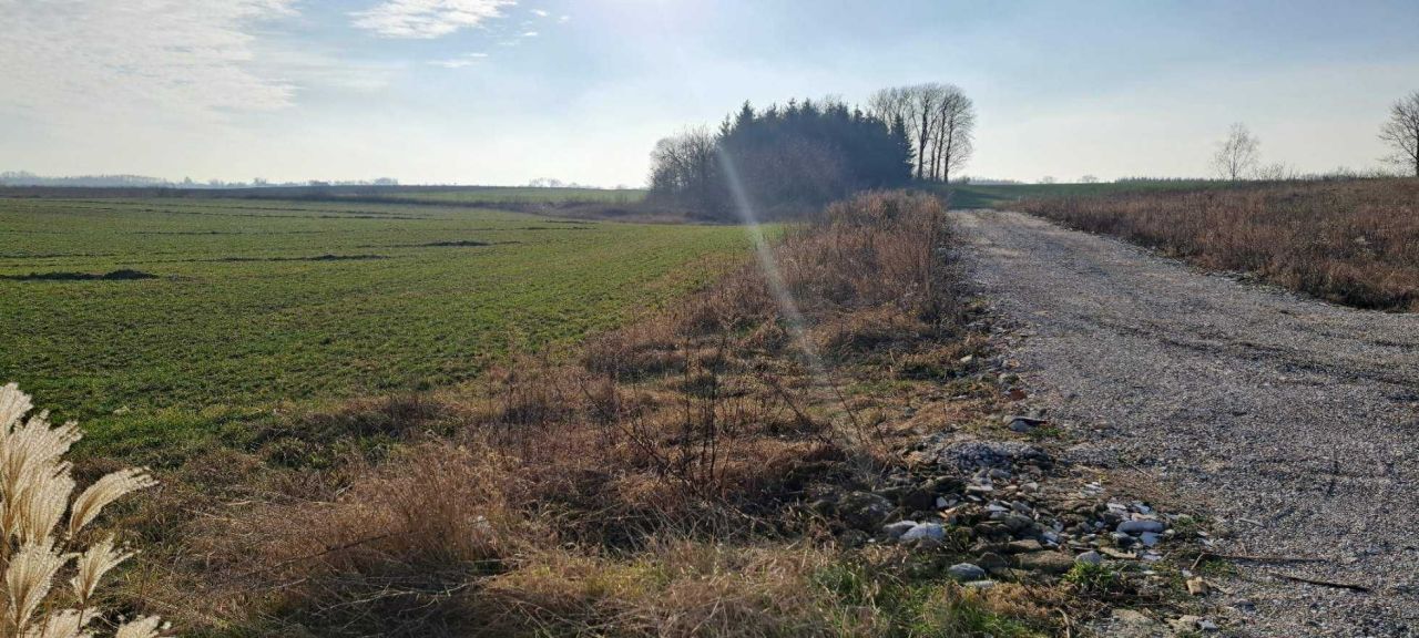 Działka budowlana Sędki. Zdjęcie 2