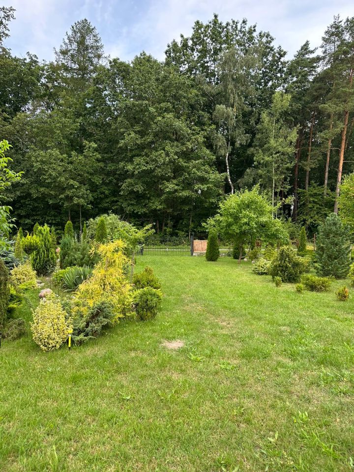 Działka budowlana Świerczyna. Zdjęcie 6