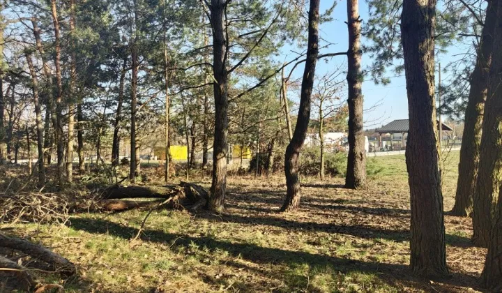 Działka rolno-budowlana Pogórska Wola