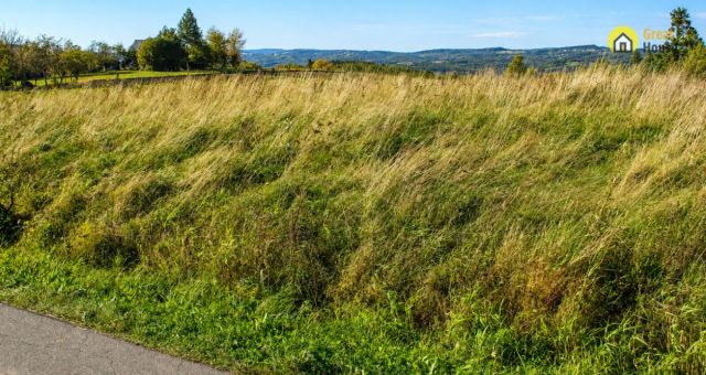 Działka inwestycyjna Golcowa. Zdjęcie 6